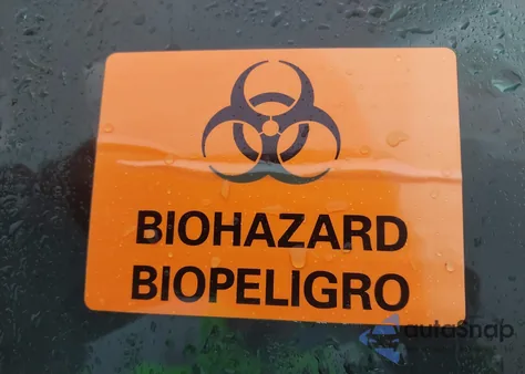 1997 Ford F-150 Standard/Xl/Xlt from USA, damaged, VIN 1FTDX1722VNA70488